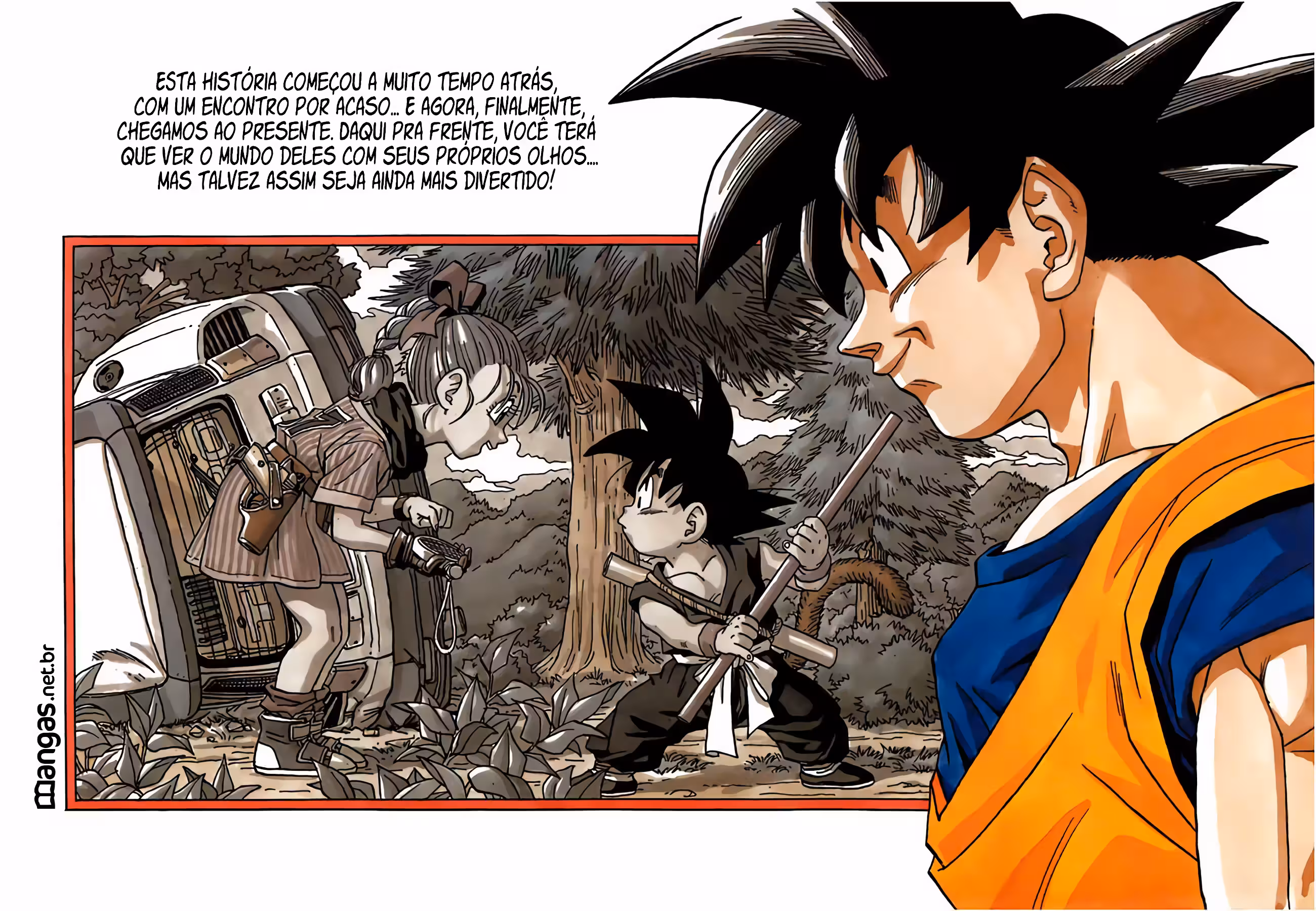 Pagina 4