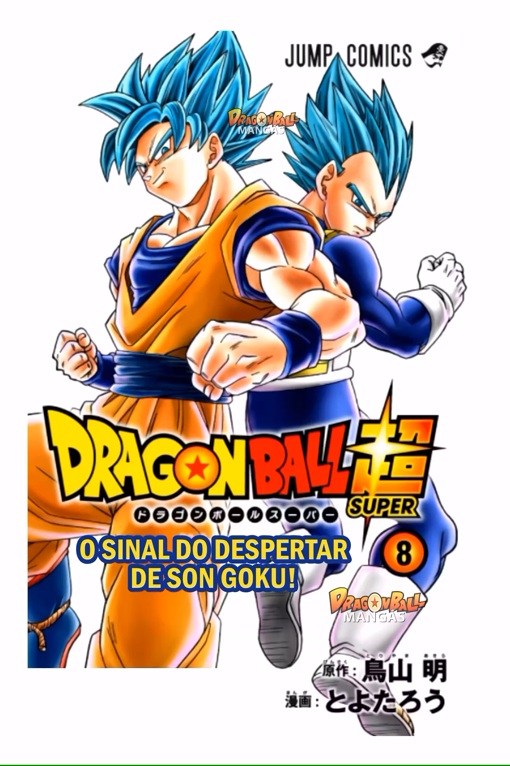 Pagina 3