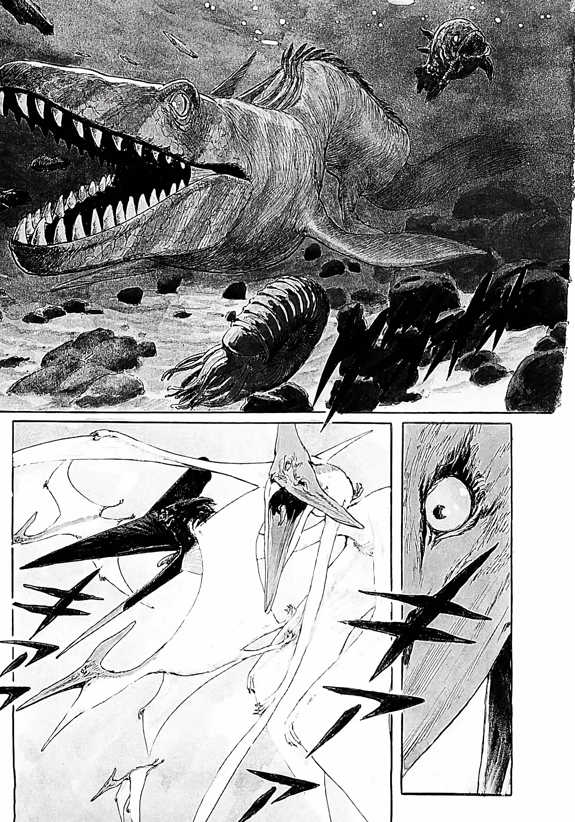 Pagina 3