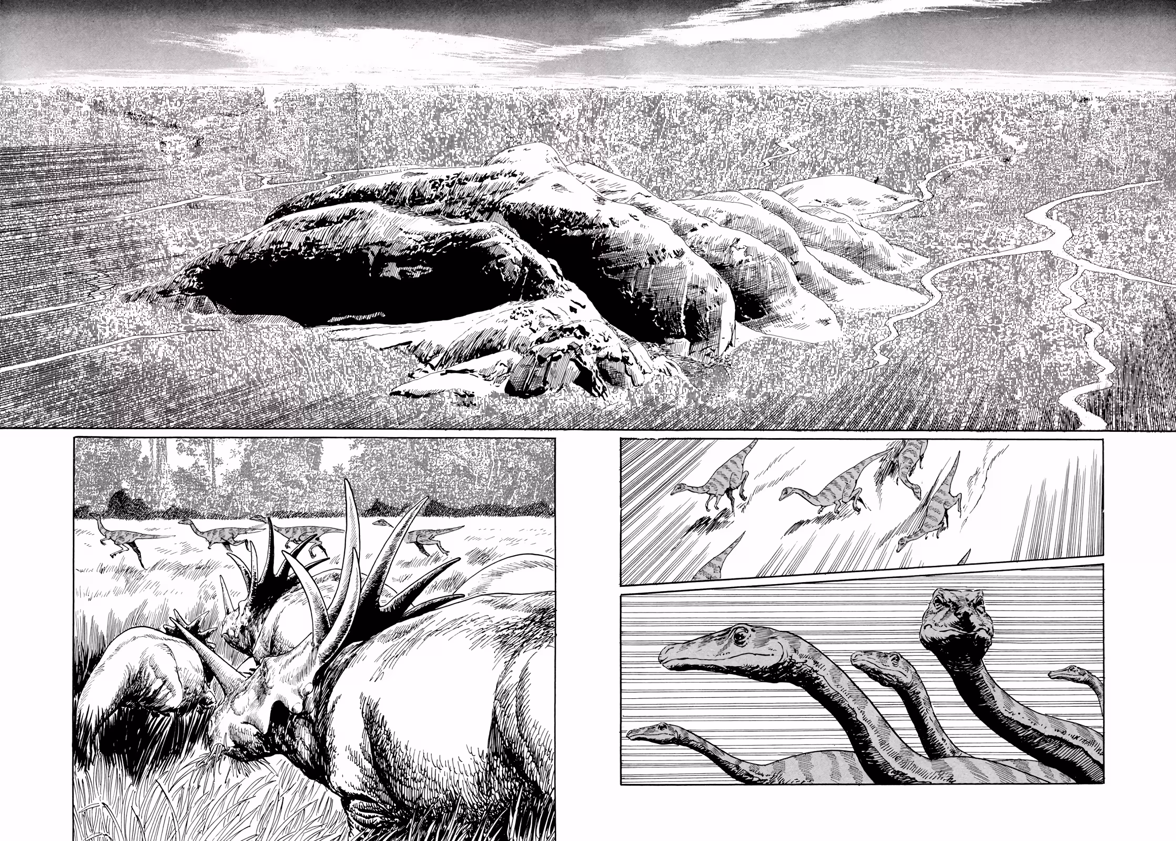 Pagina 3