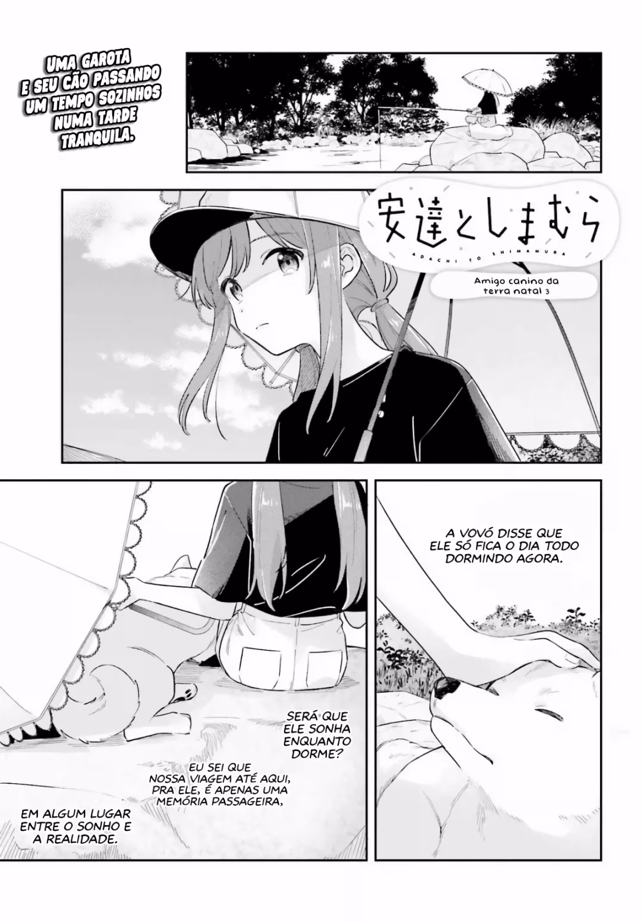 Pagina 3