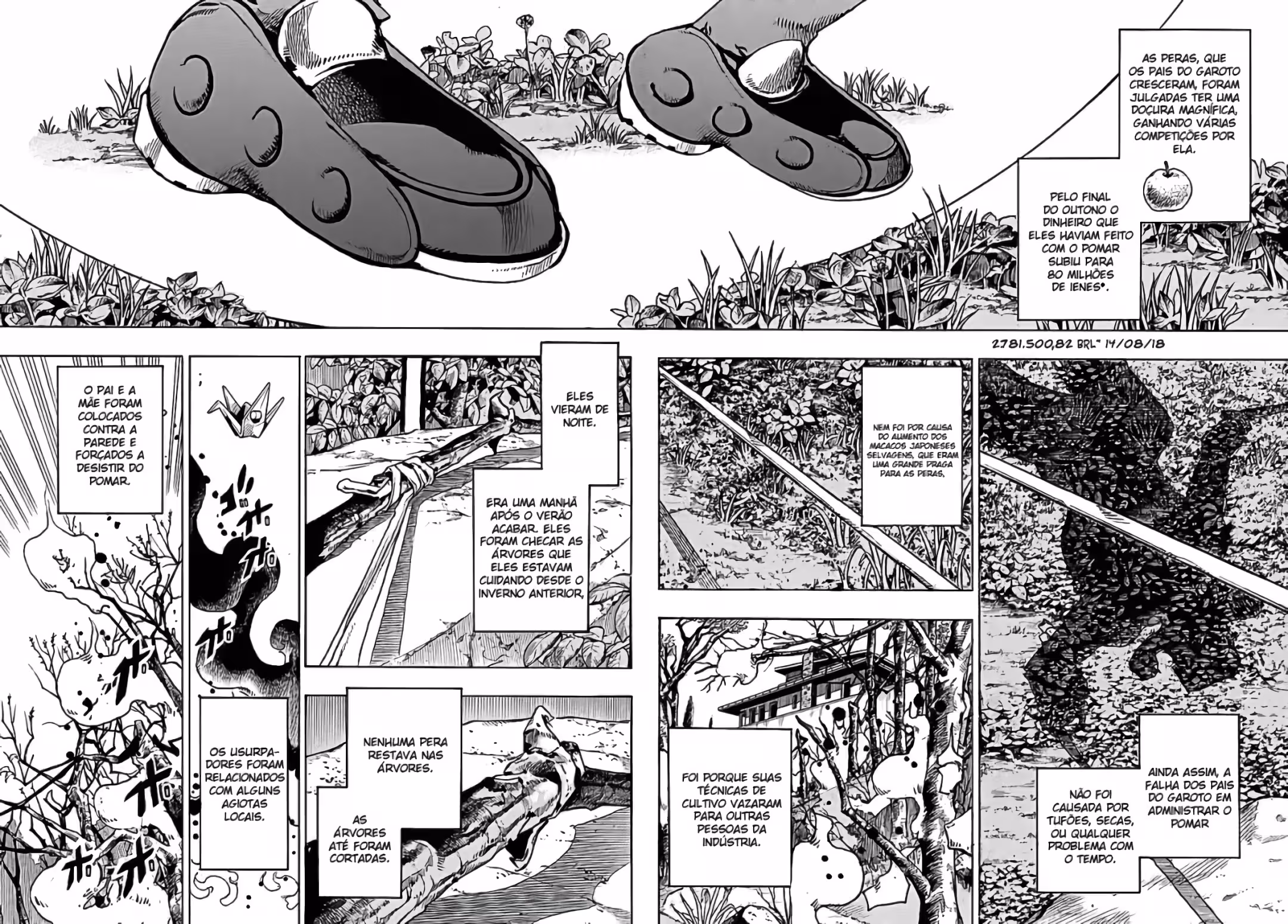Pagina 3