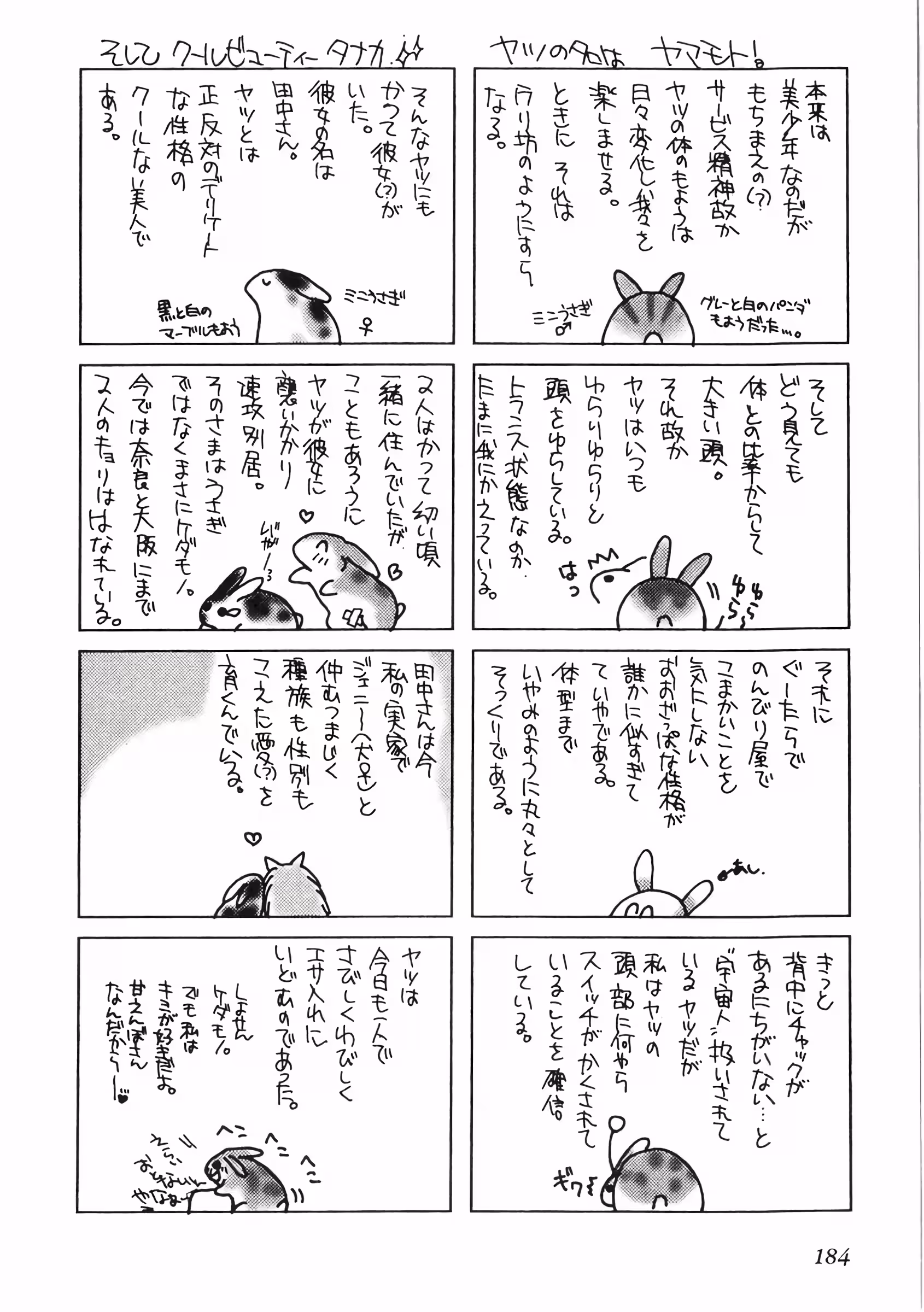 Pagina 3