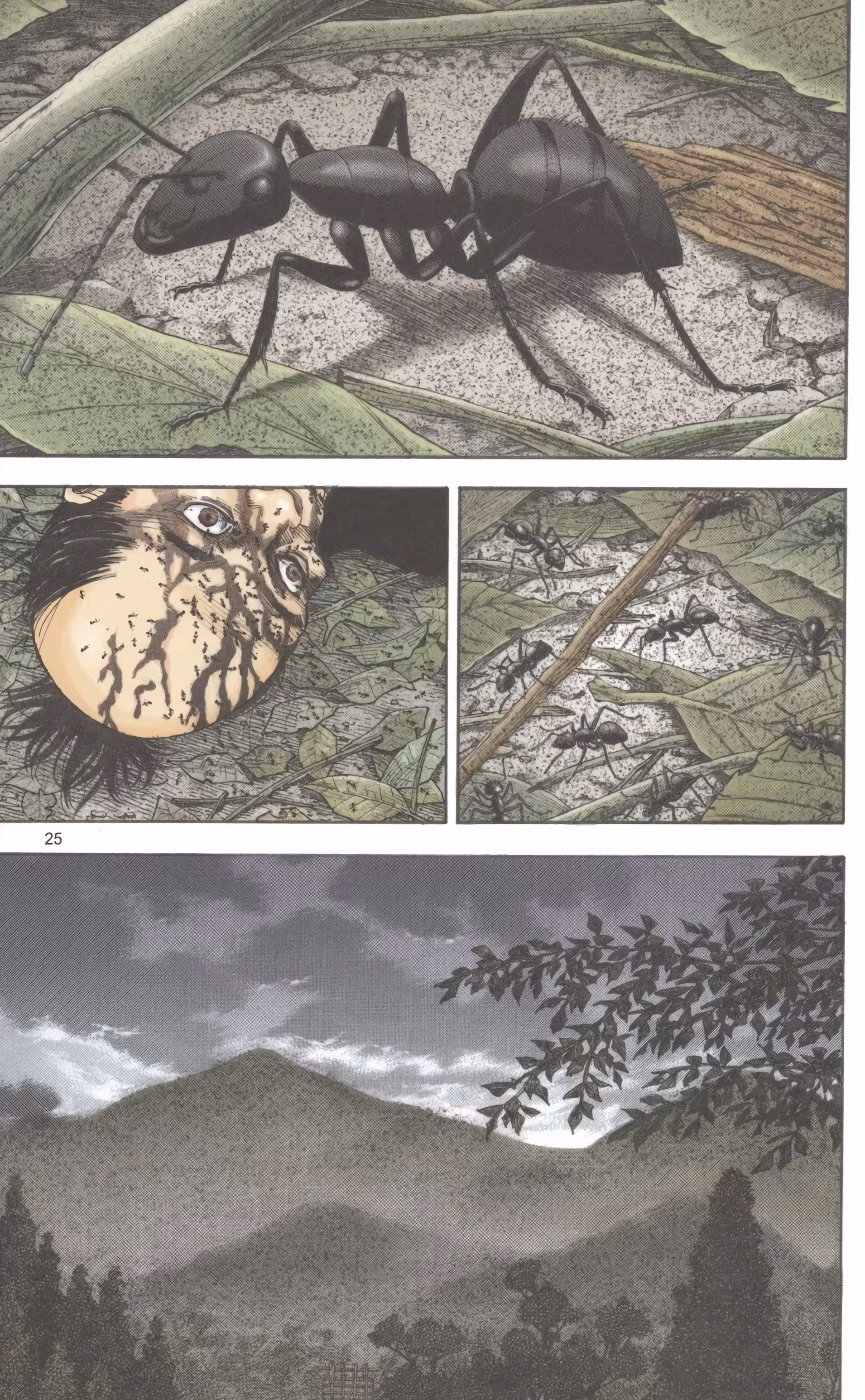 Pagina 3