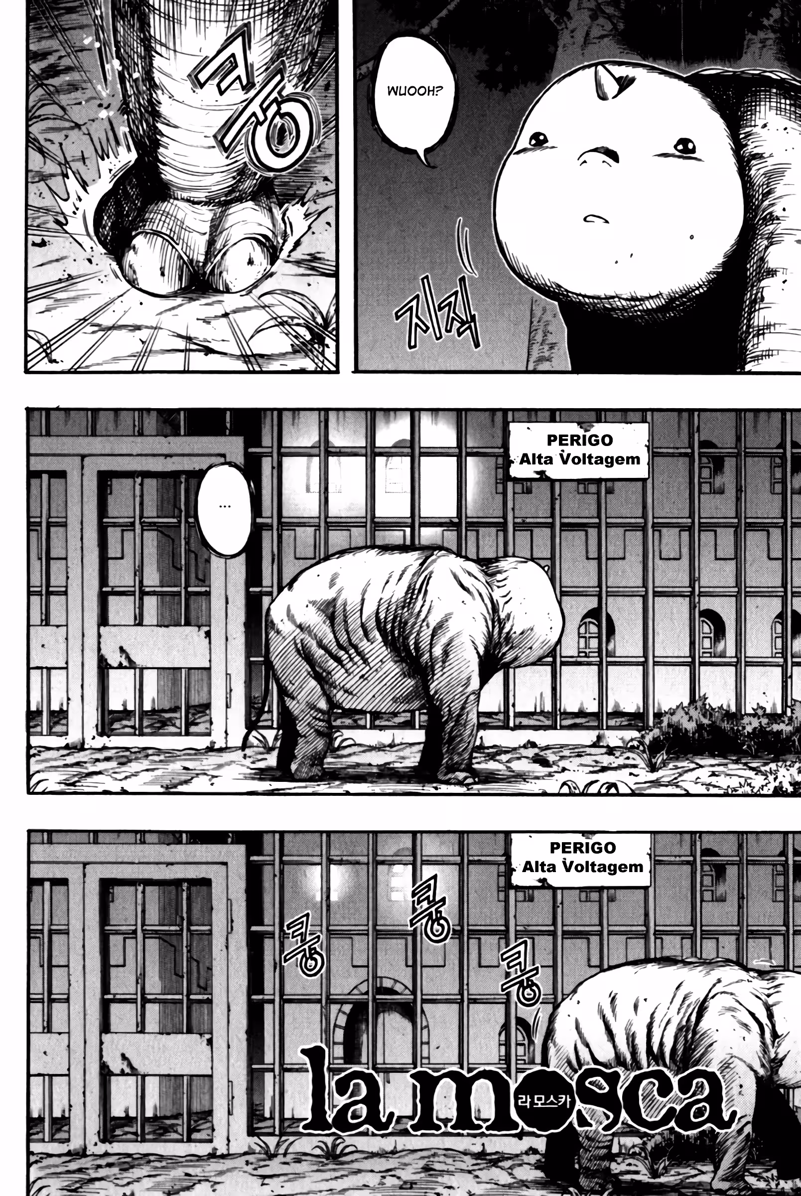 Pagina 3
