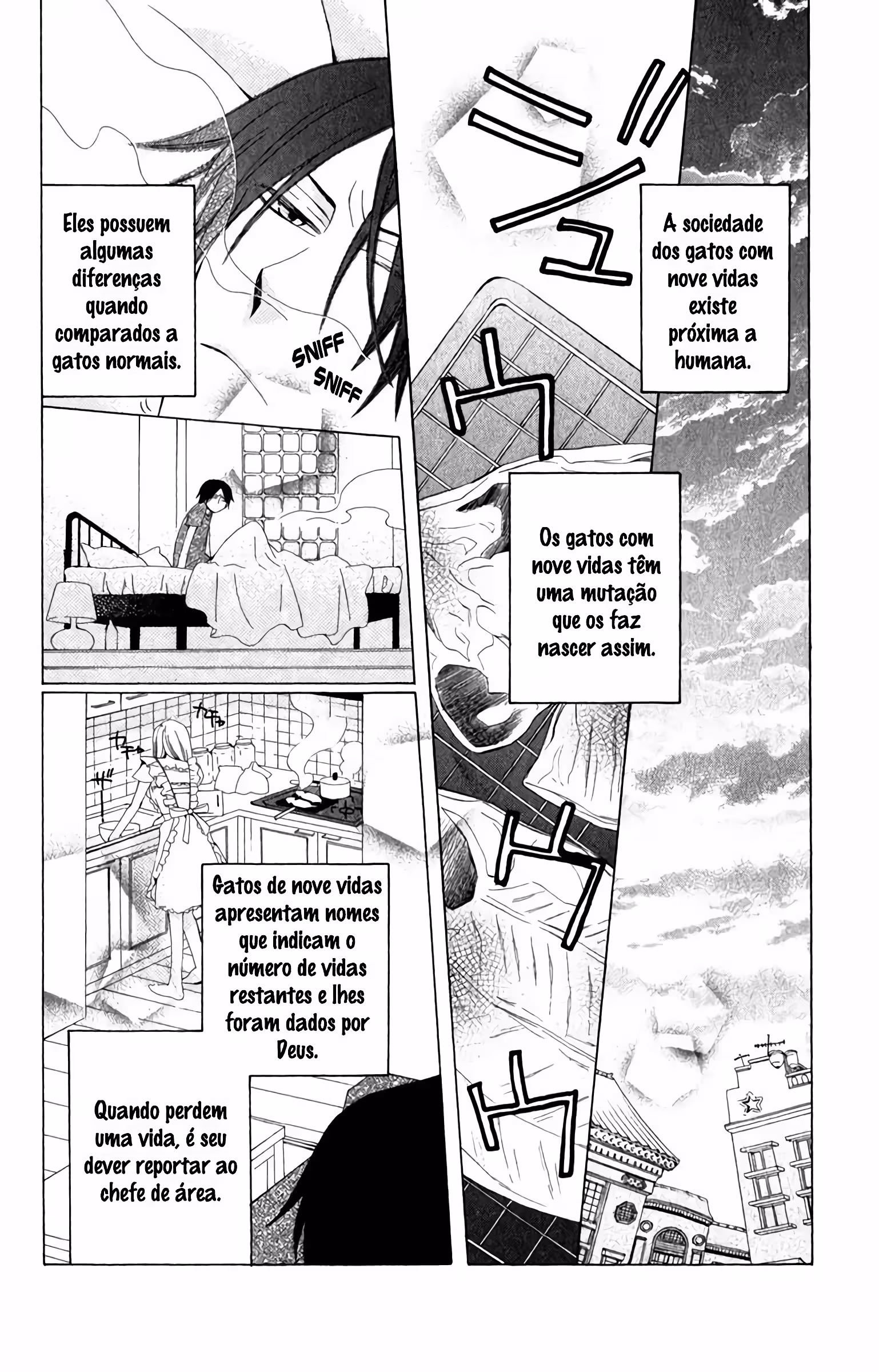 Pagina 3