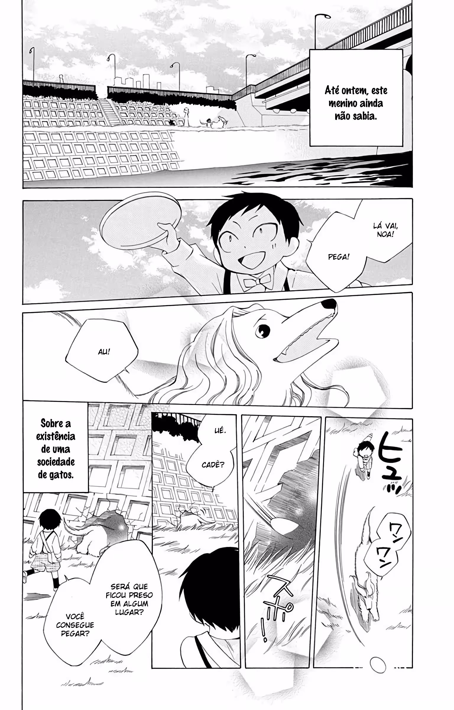Pagina 3