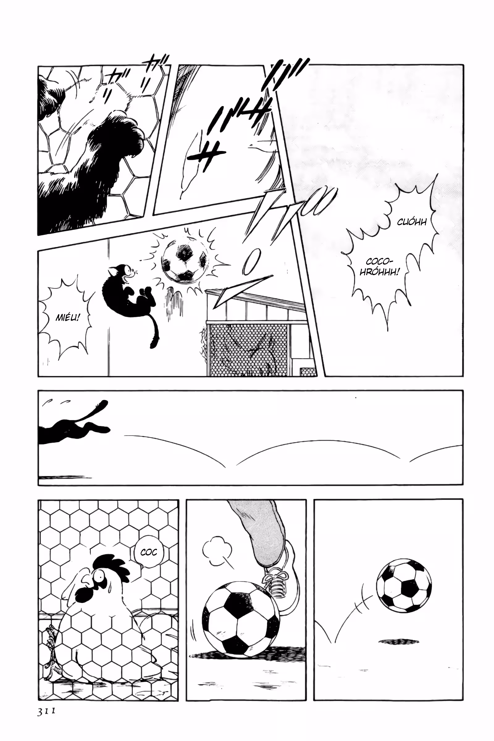 Pagina 4