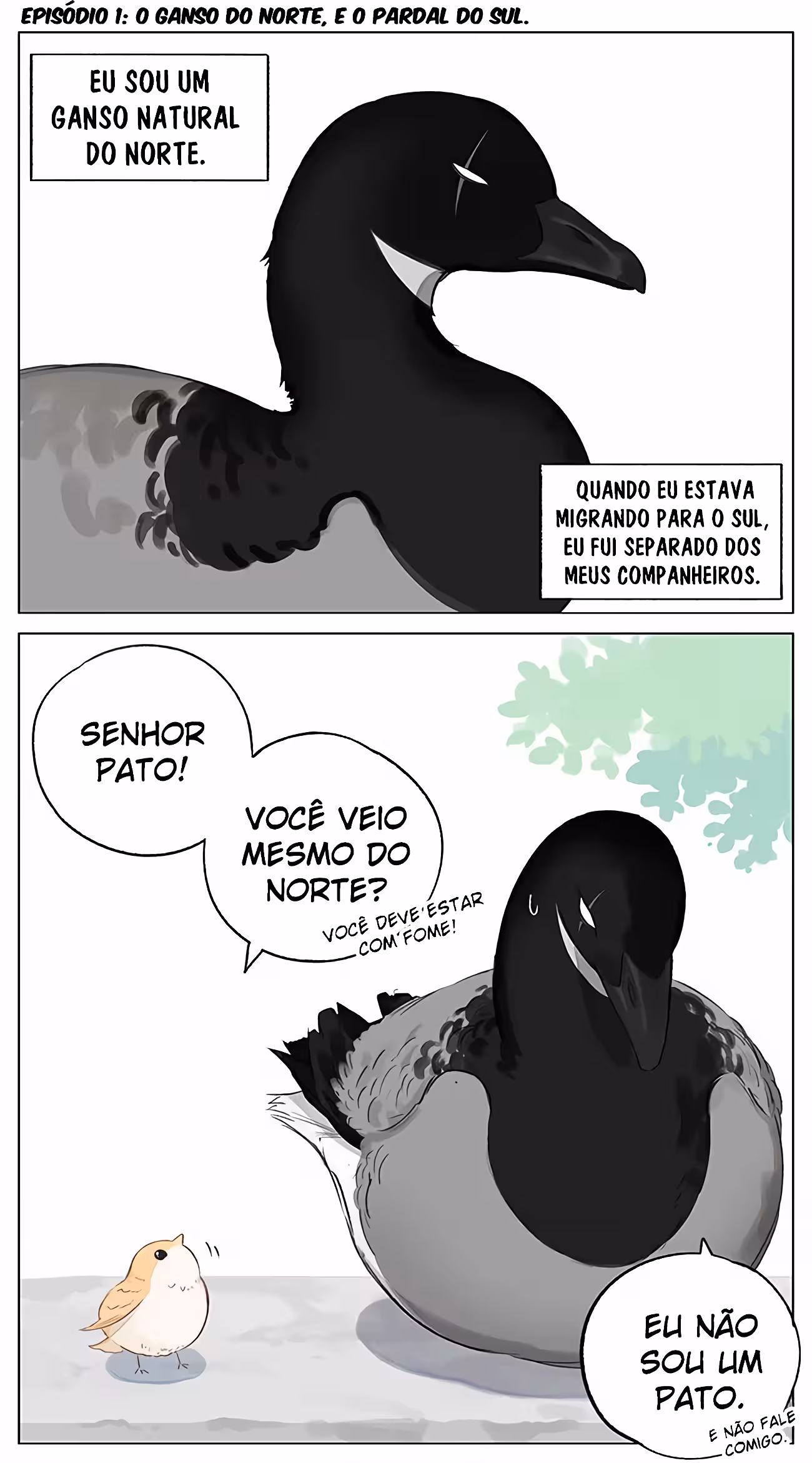 Pagina 3
