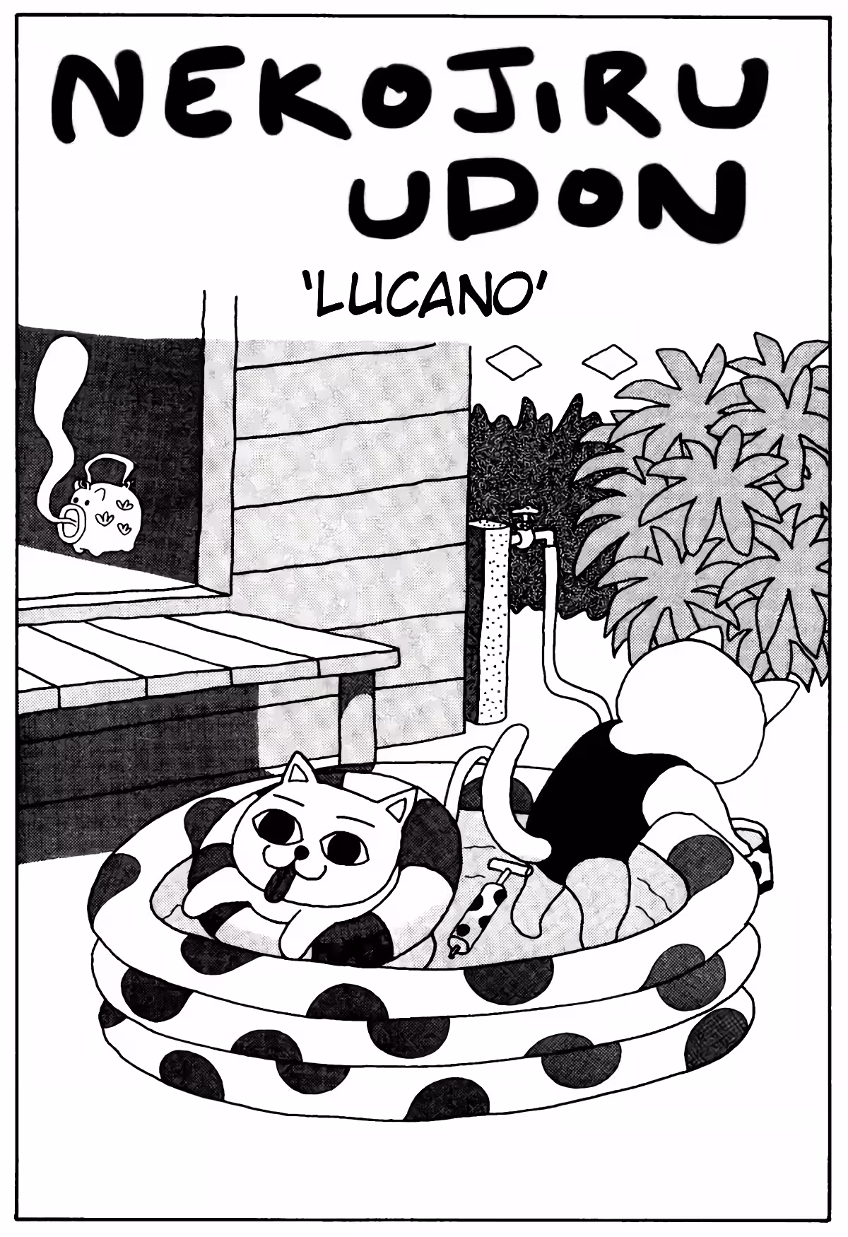 Pagina 3