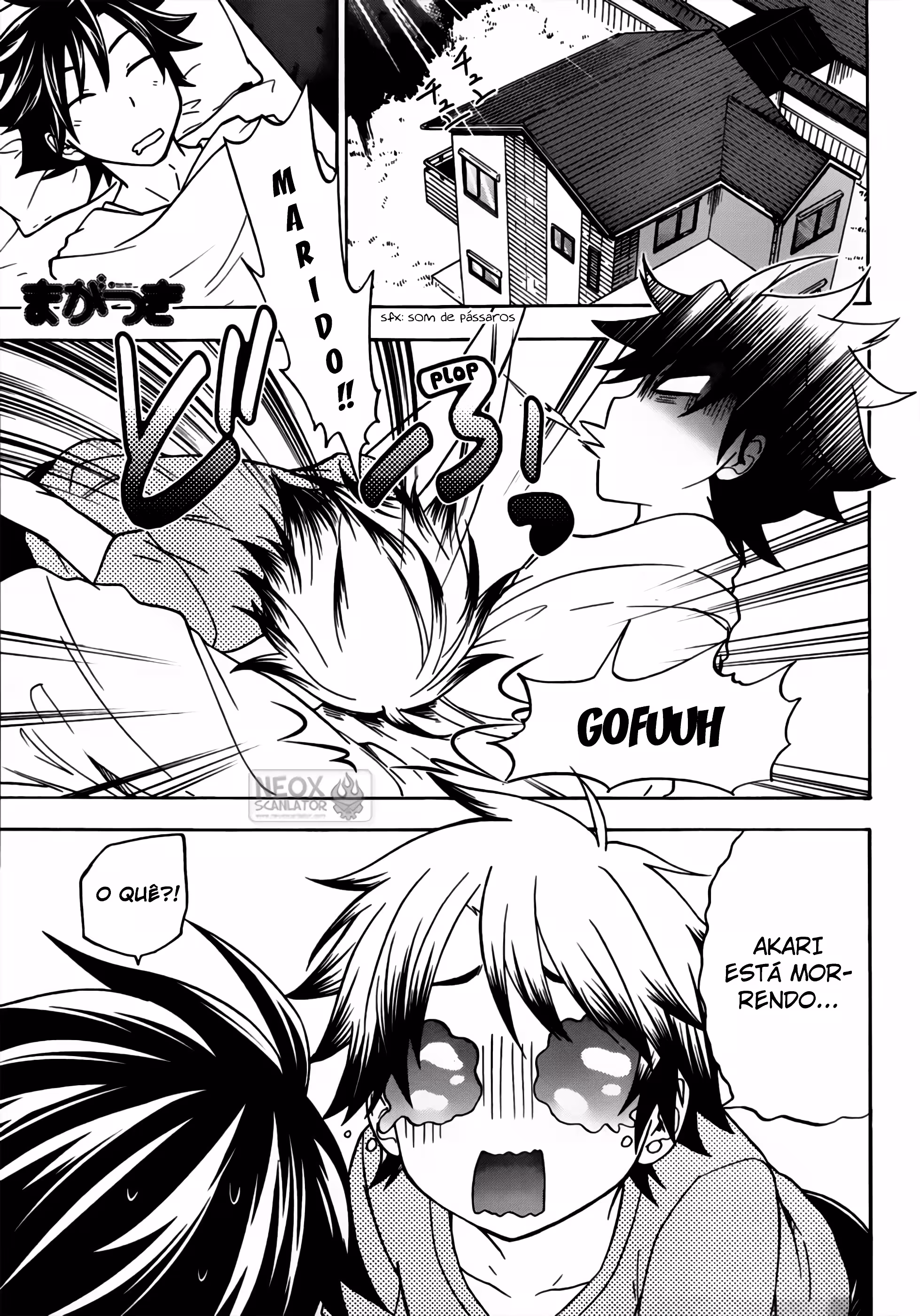 Pagina 3