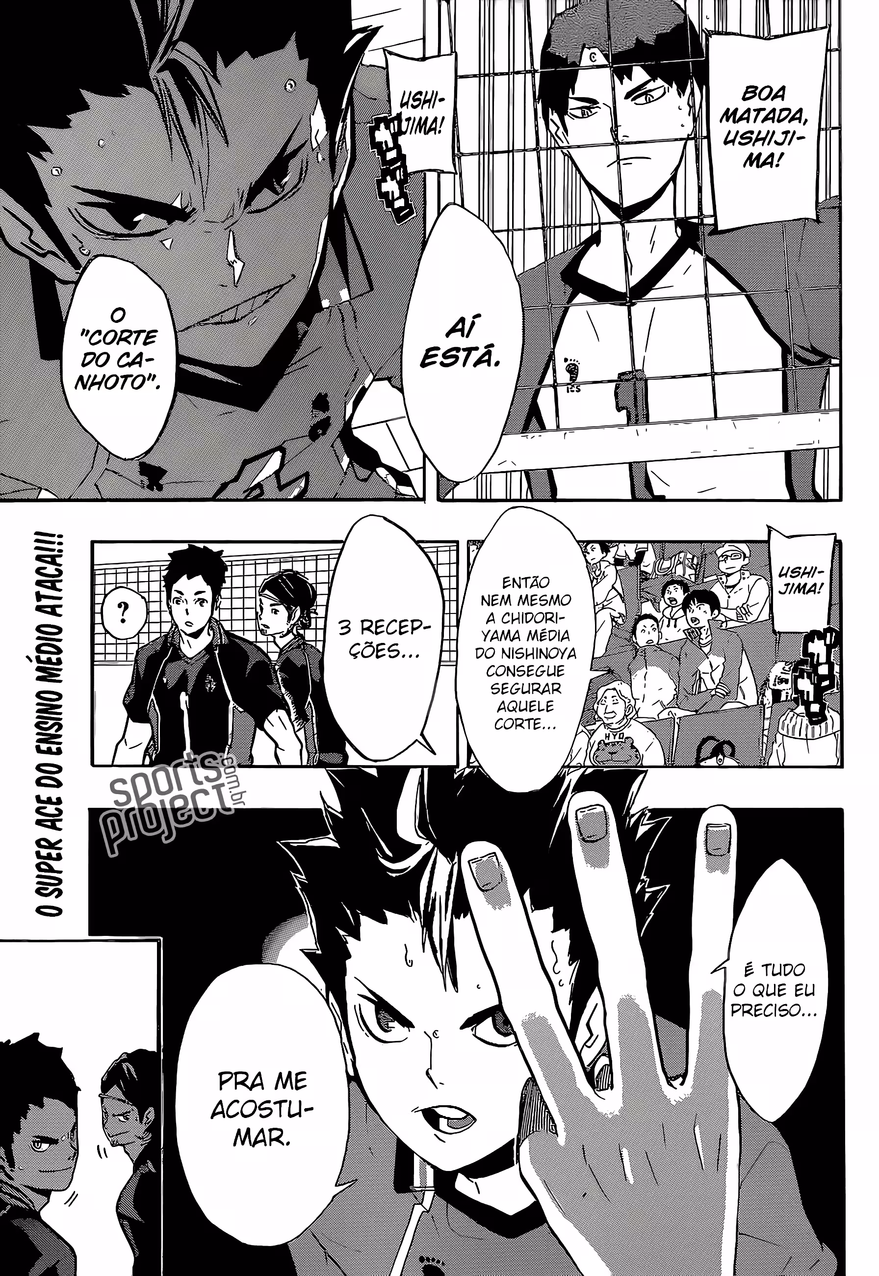 Pagina 3