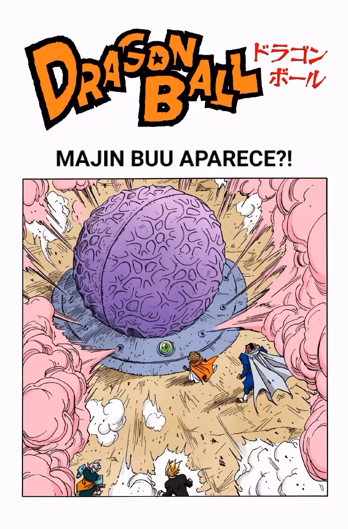 Pagina 2