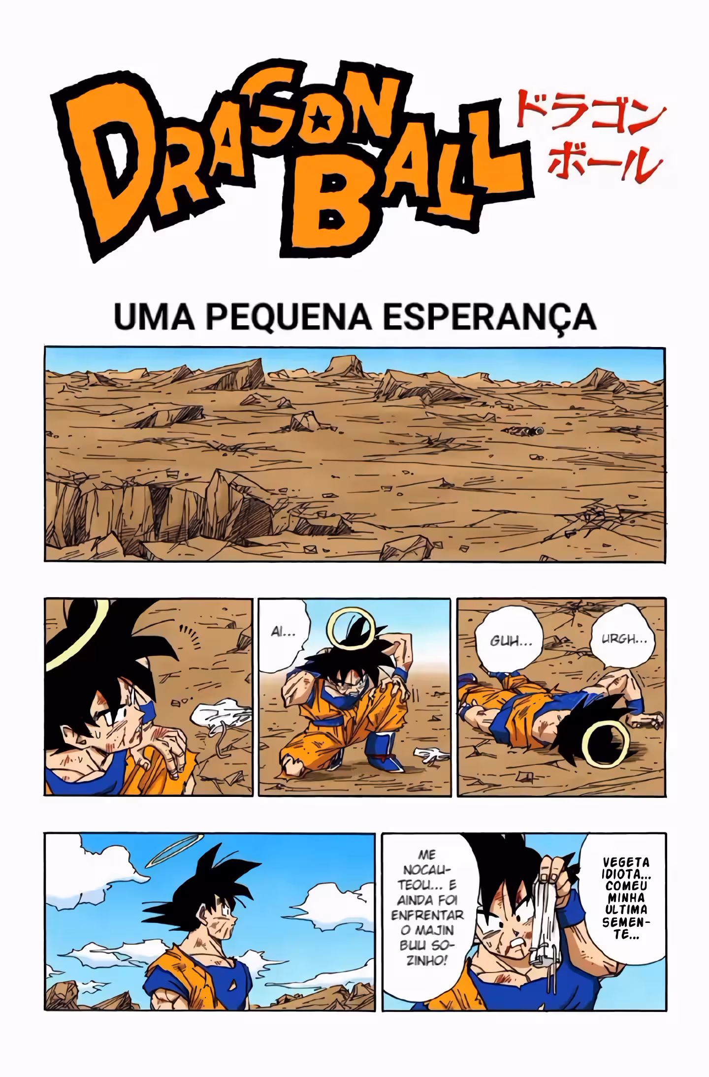 Pagina 2