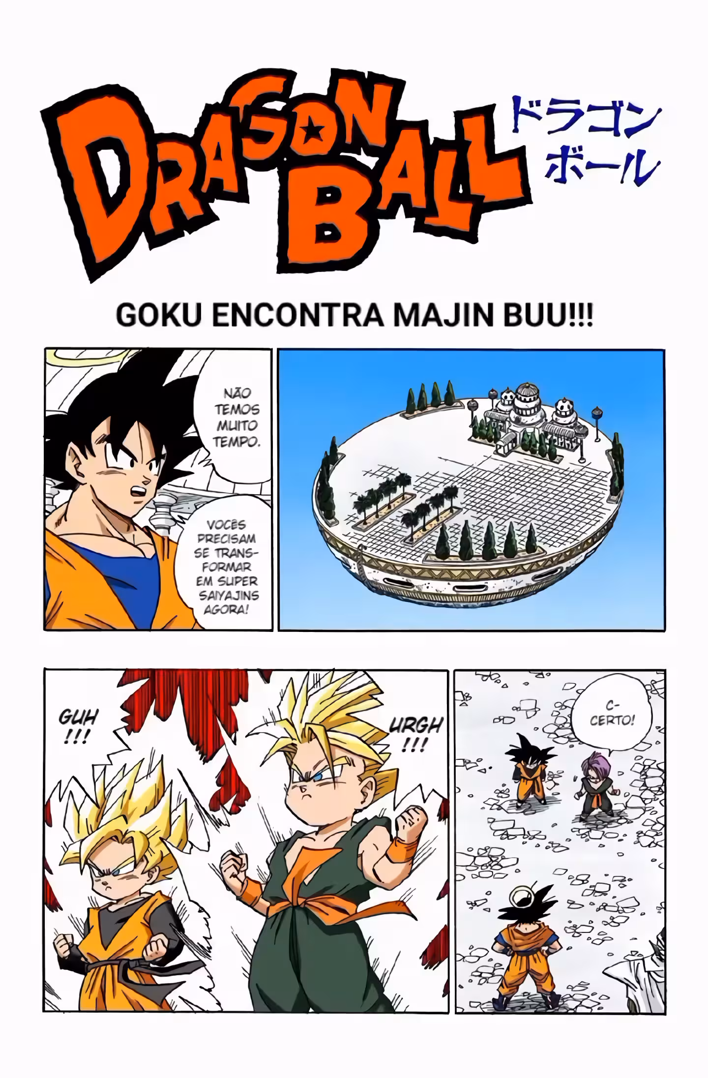 Pagina 2