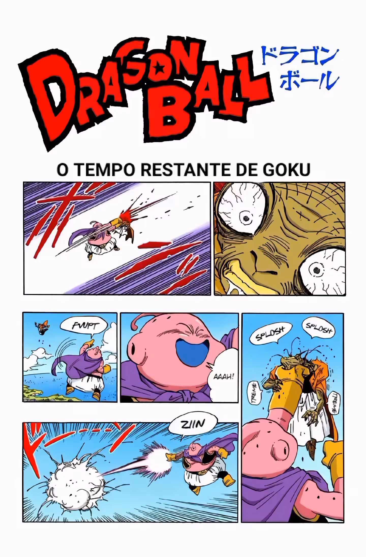 Pagina 2