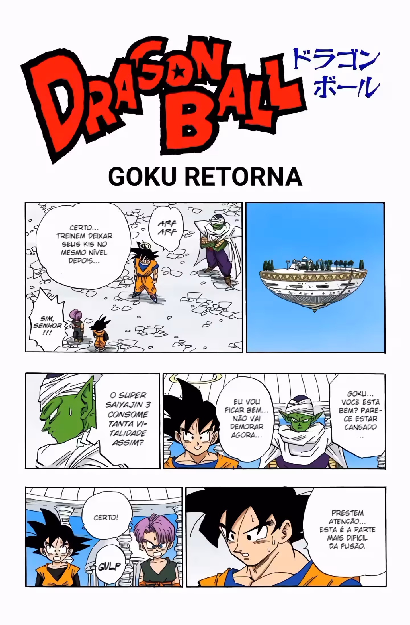 Pagina 2