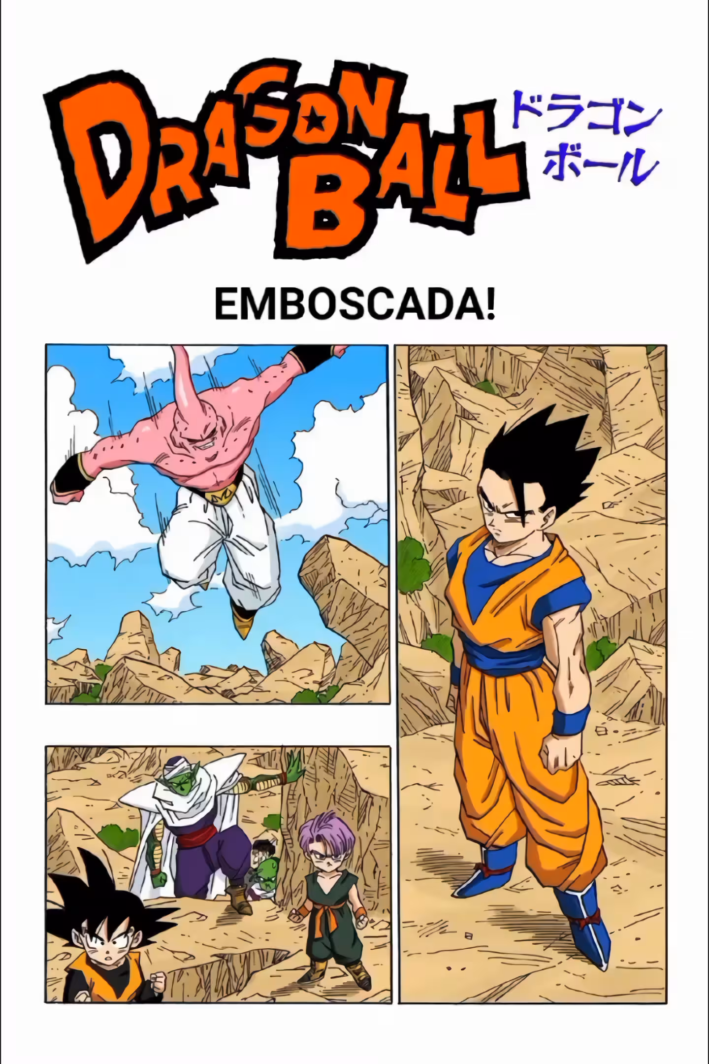 Pagina 2