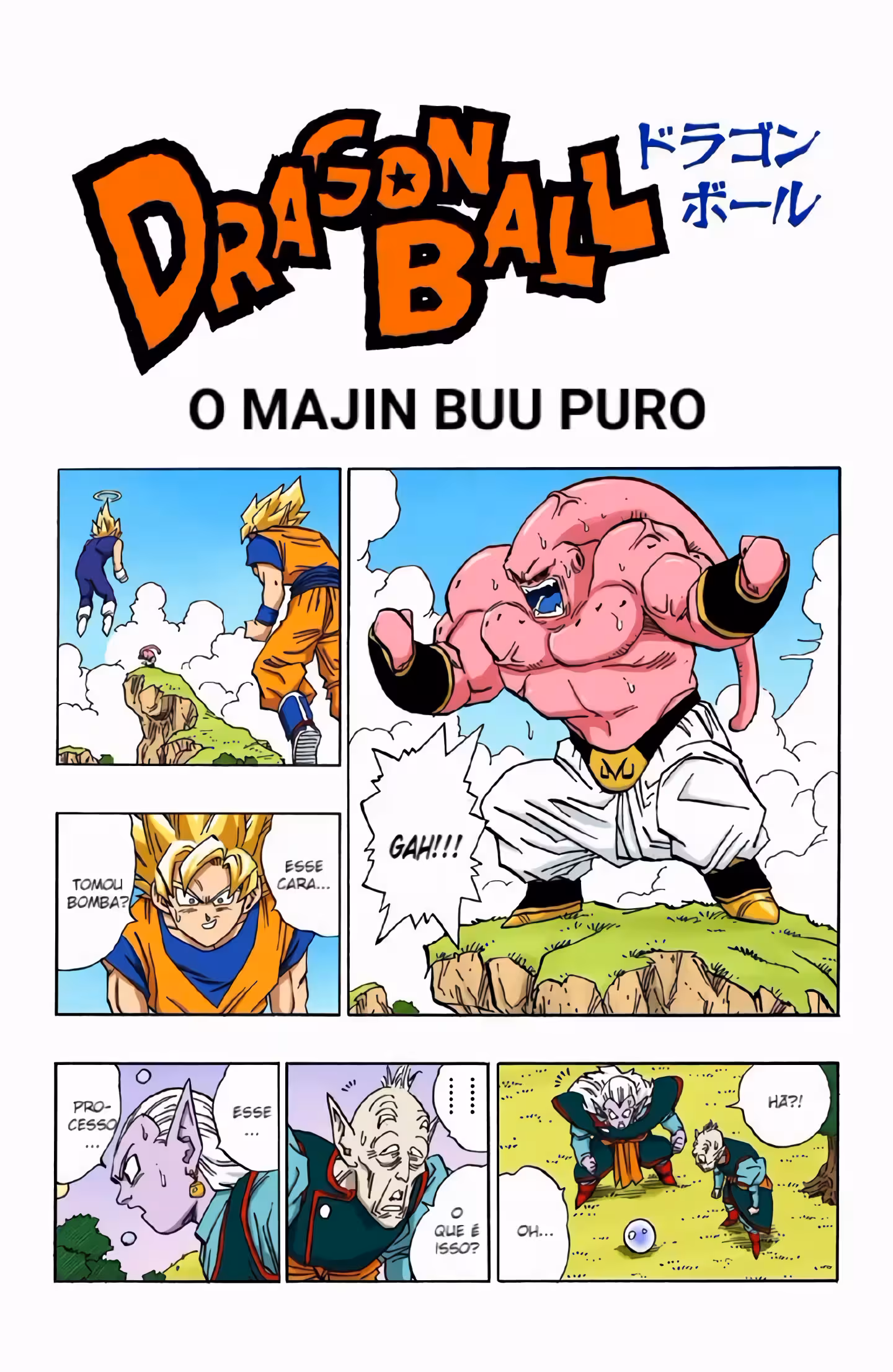 Pagina 2