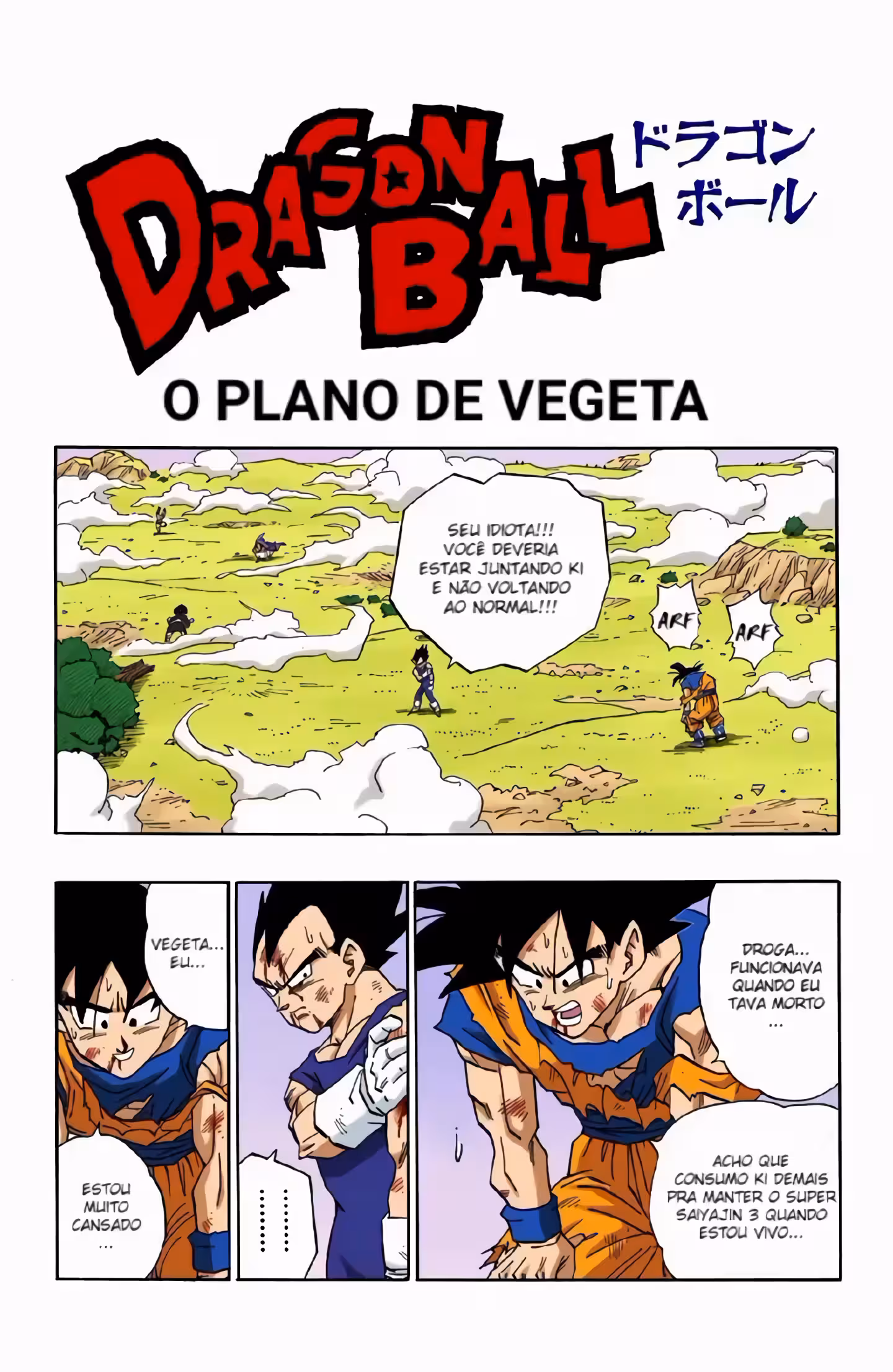 Pagina 2