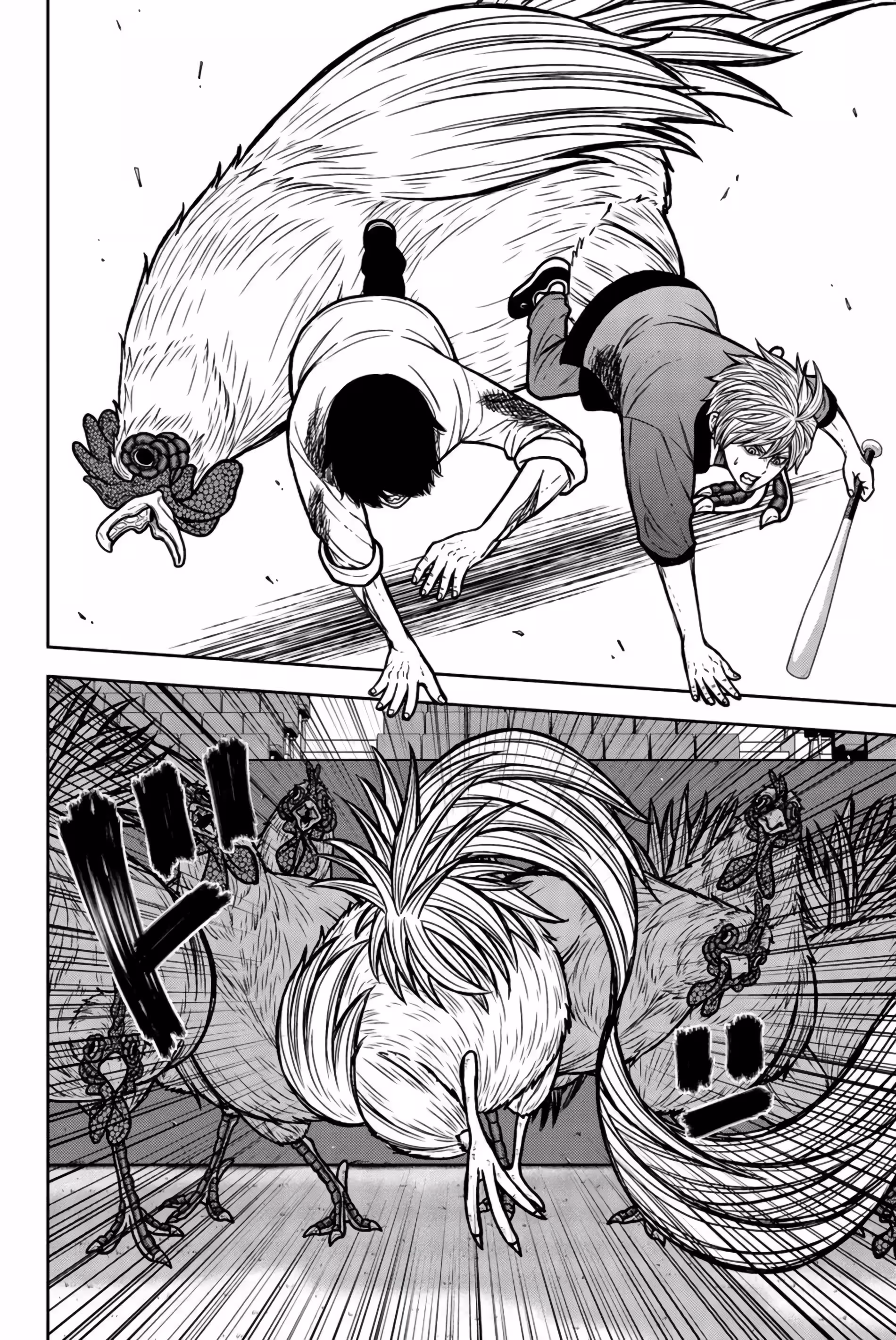 Pagina 4
