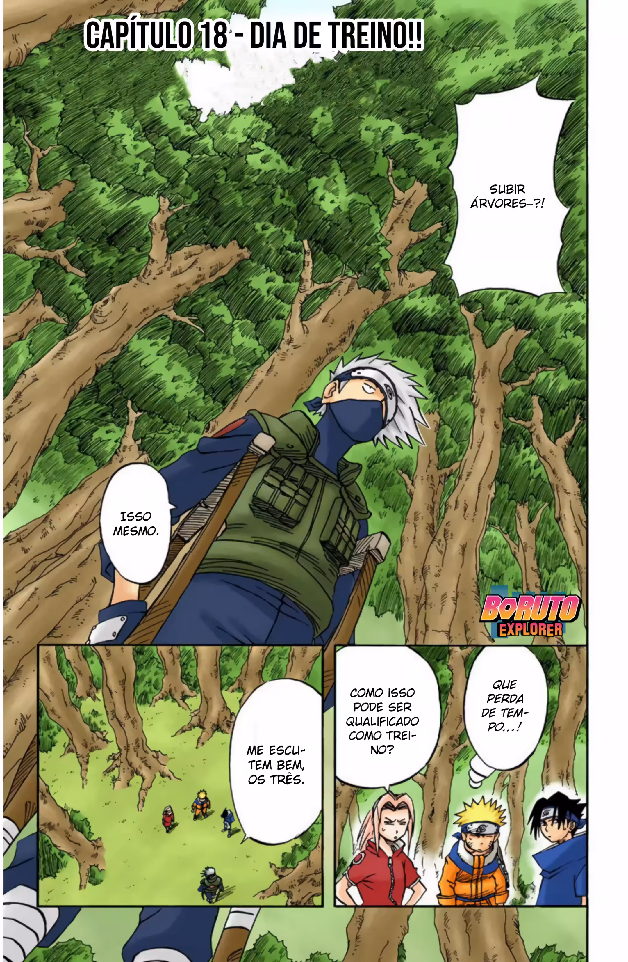 Pagina 2
