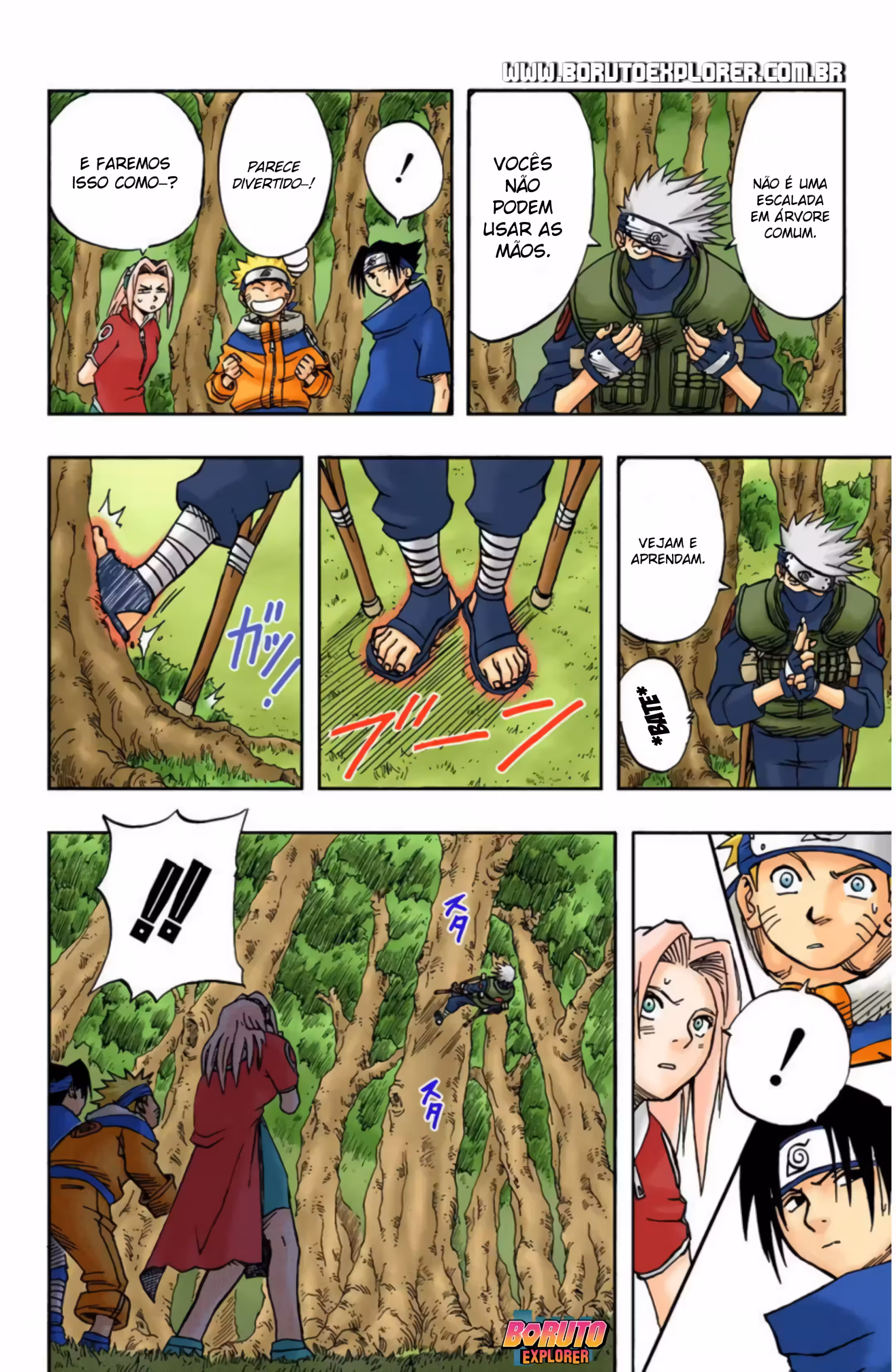 Pagina 3