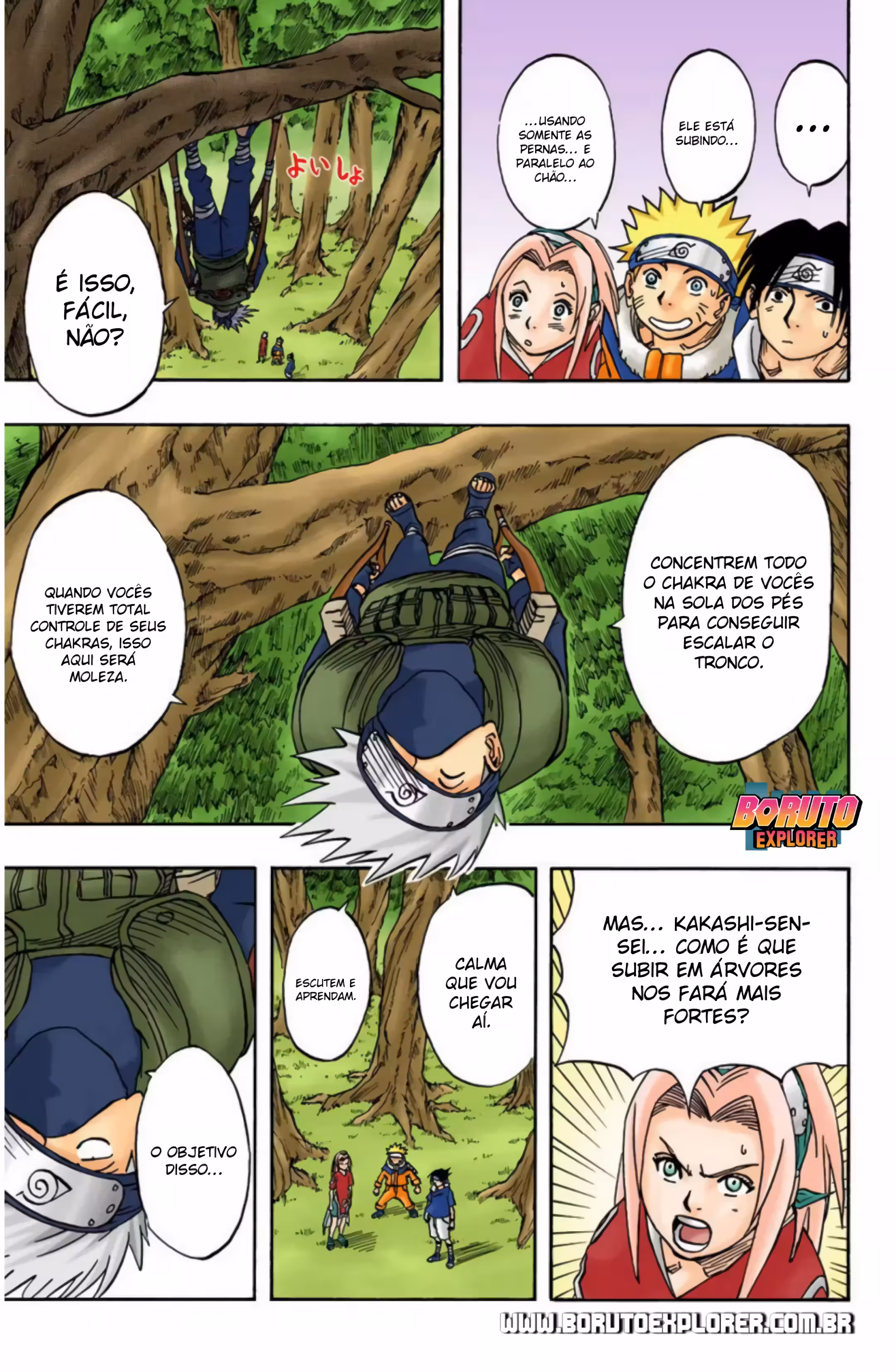 Pagina 4
