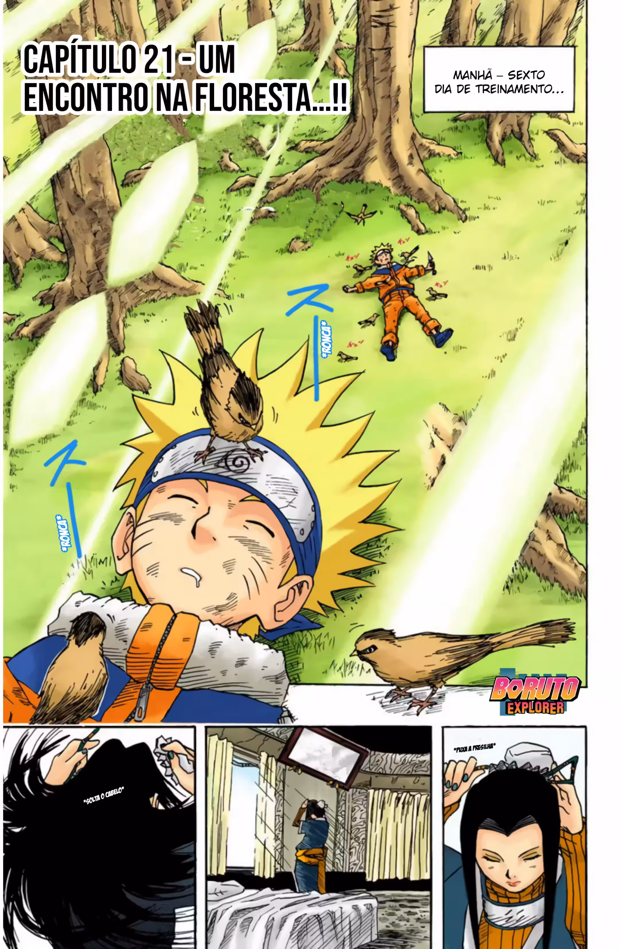 Pagina 3