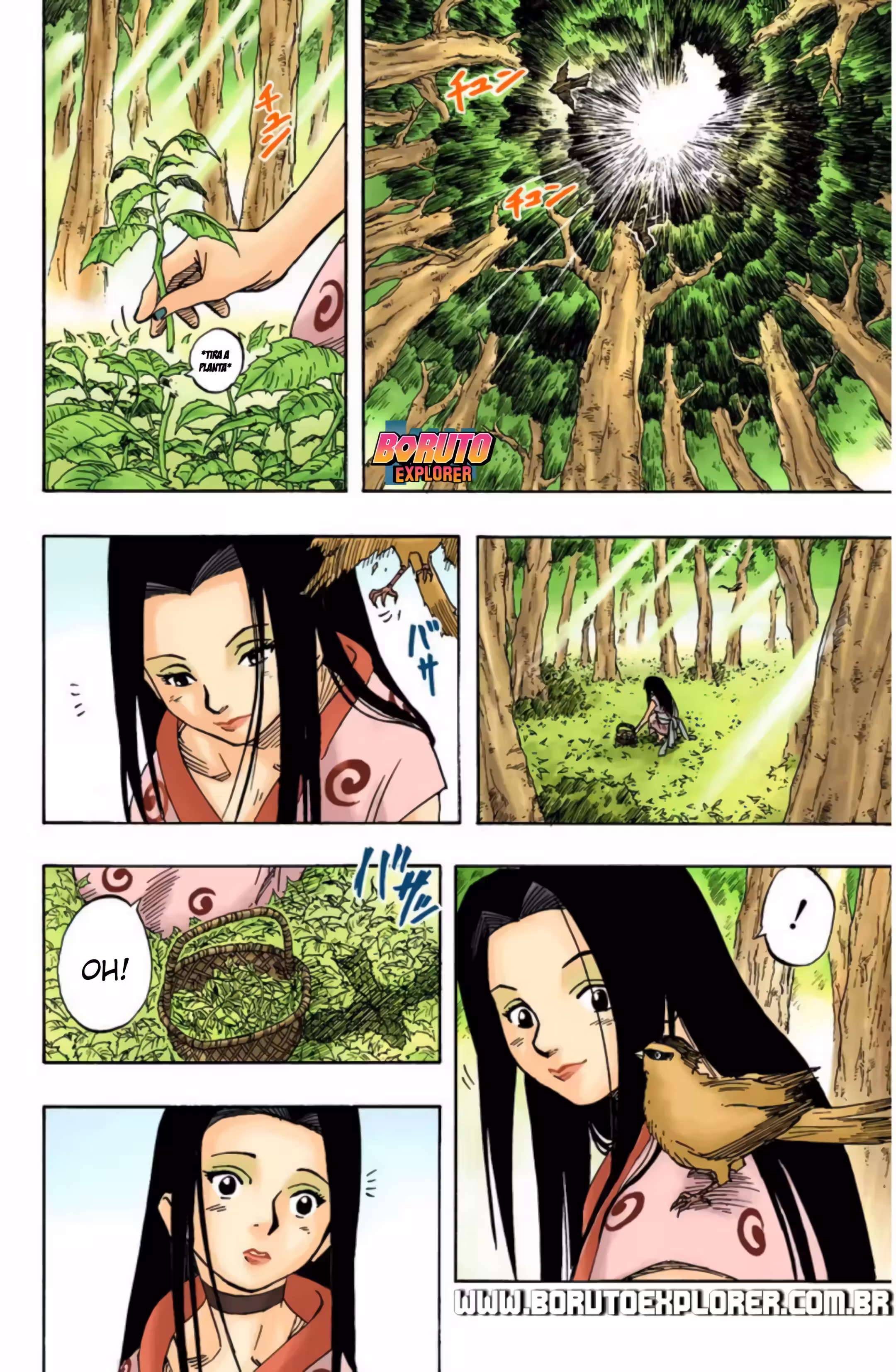 Pagina 4