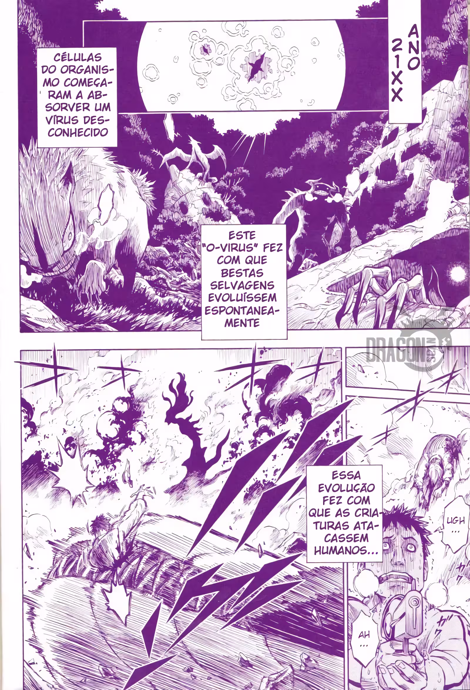 Pagina 2