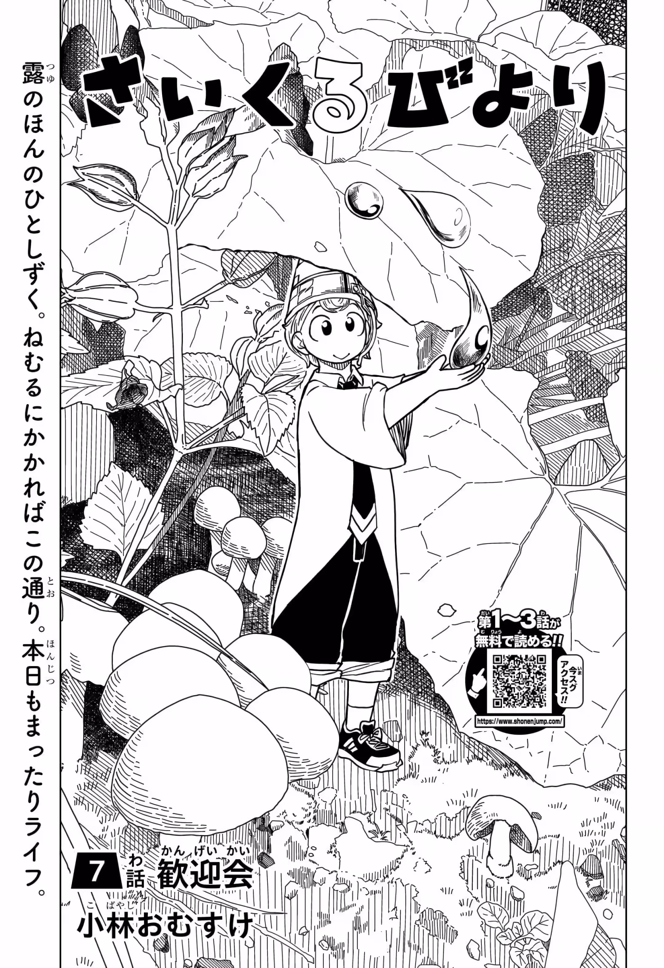 Pagina 2